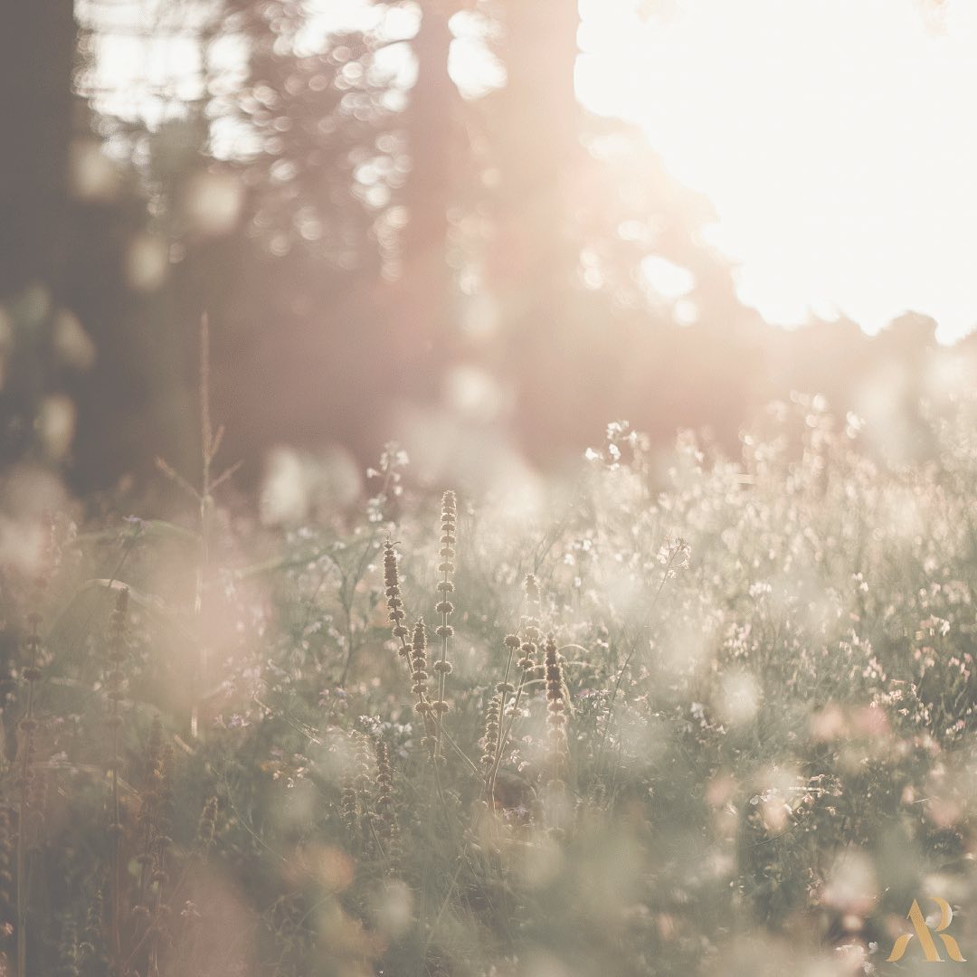 318633958 496899582538696 352670641484430770 n