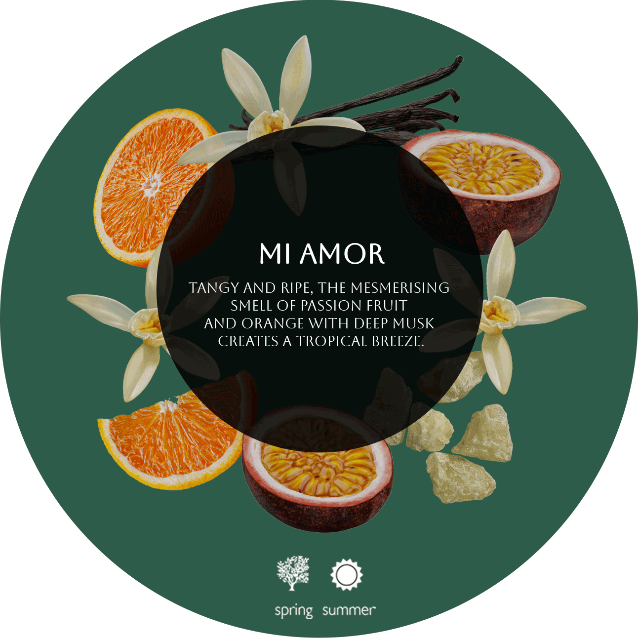 MI AMOR